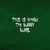 the bunny runs
