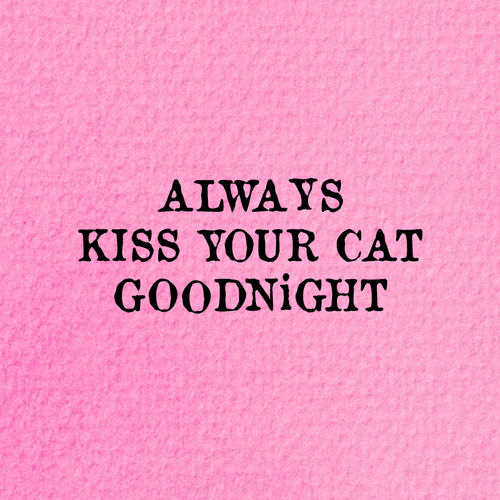 kiss your cat